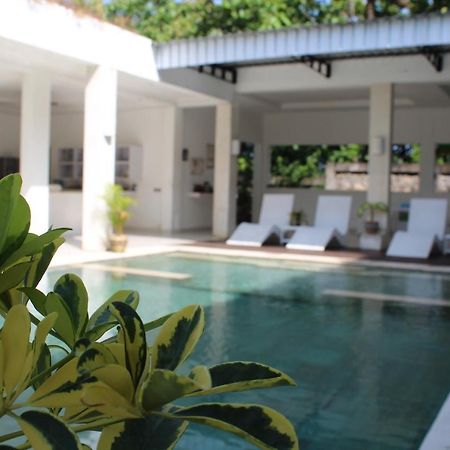 Villa Putih Lovina מראה חיצוני תמונה